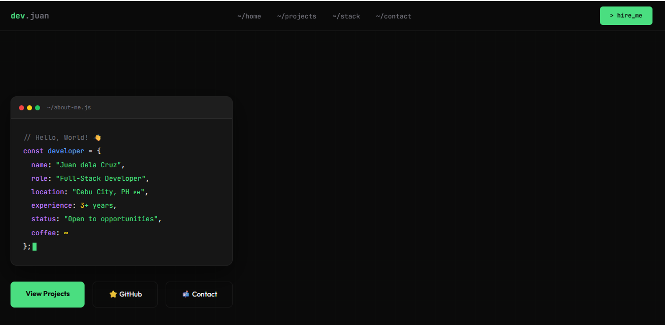 Developer Portfolio Template Preview